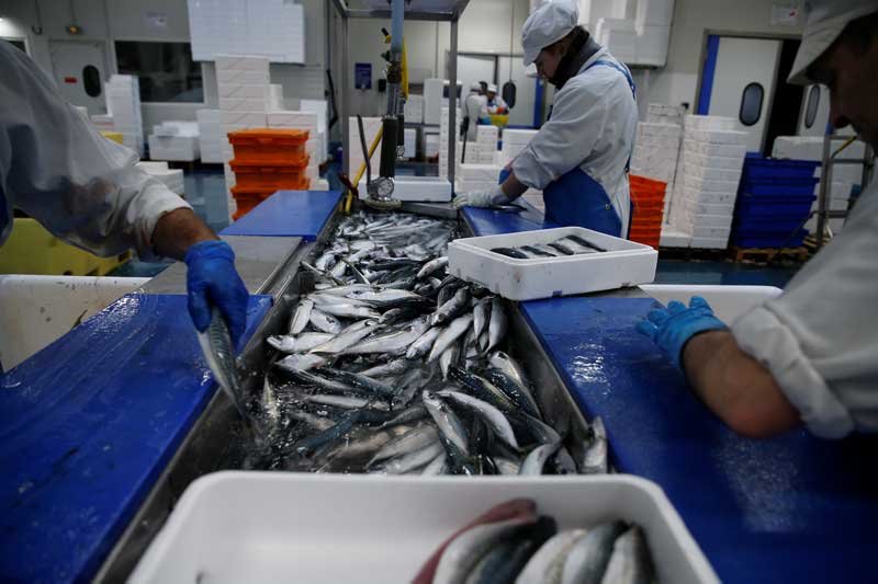 2020-01-30T211030Z_2_LYNXMPEG0T1G4_RTROPTP_4_BRITAIN-EU-FISHERIES.JPG