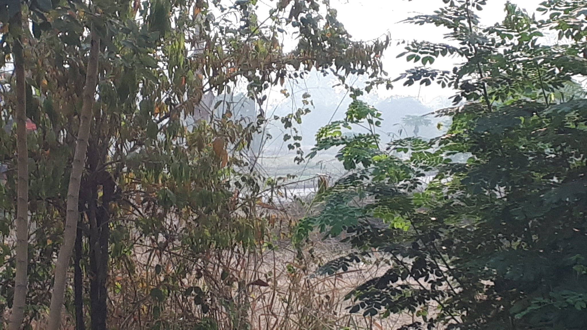 20200130_084807.jpg