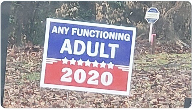 2020Election.jpg.e13dc7668809b3918ed108445cfcfec1.jpg
