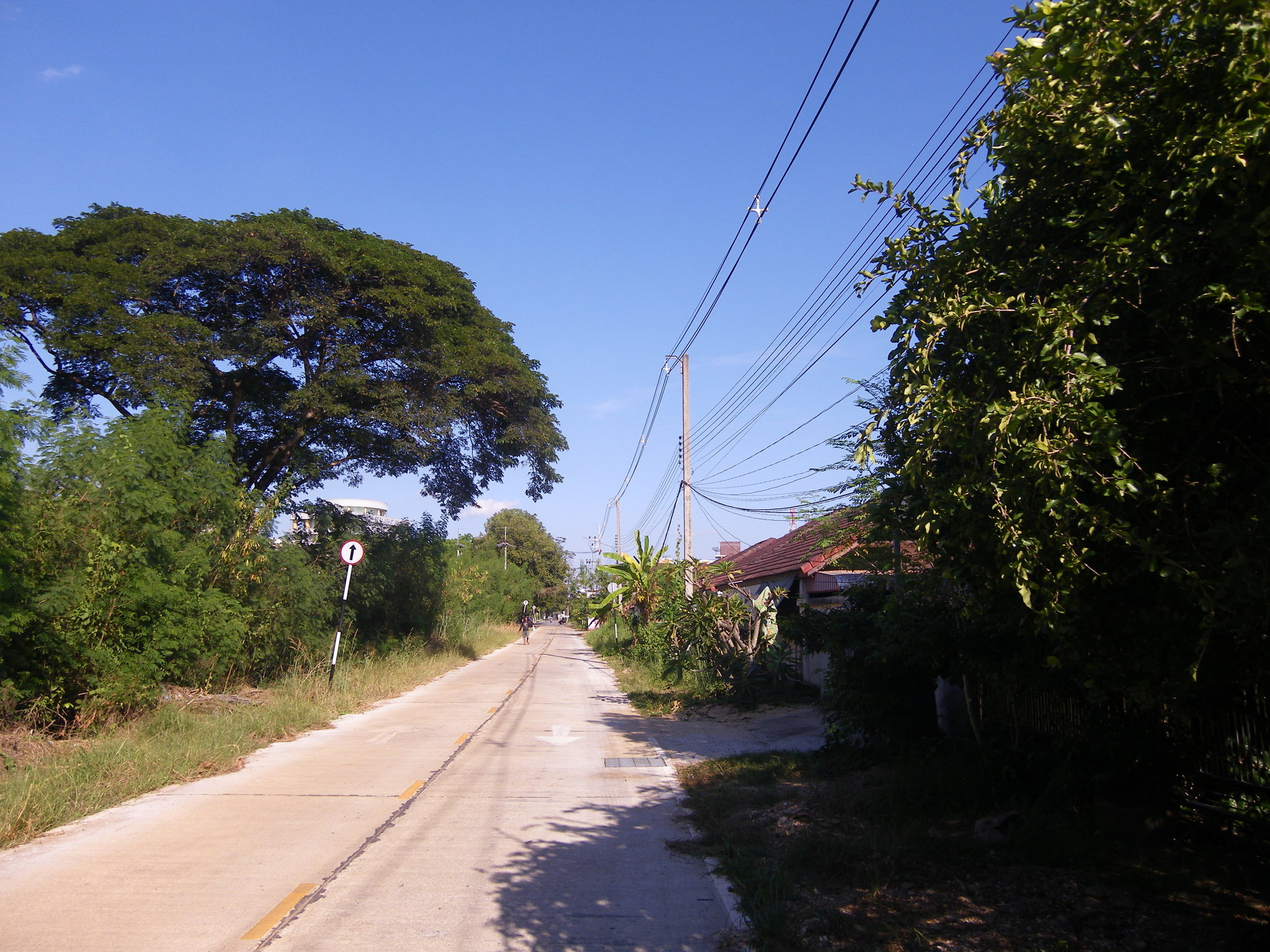 IMGP0011 (4).JPG