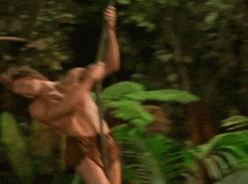 815939197_watchoutforthattree.gif.7888574201b4cb462784664b5202f6cc.gif