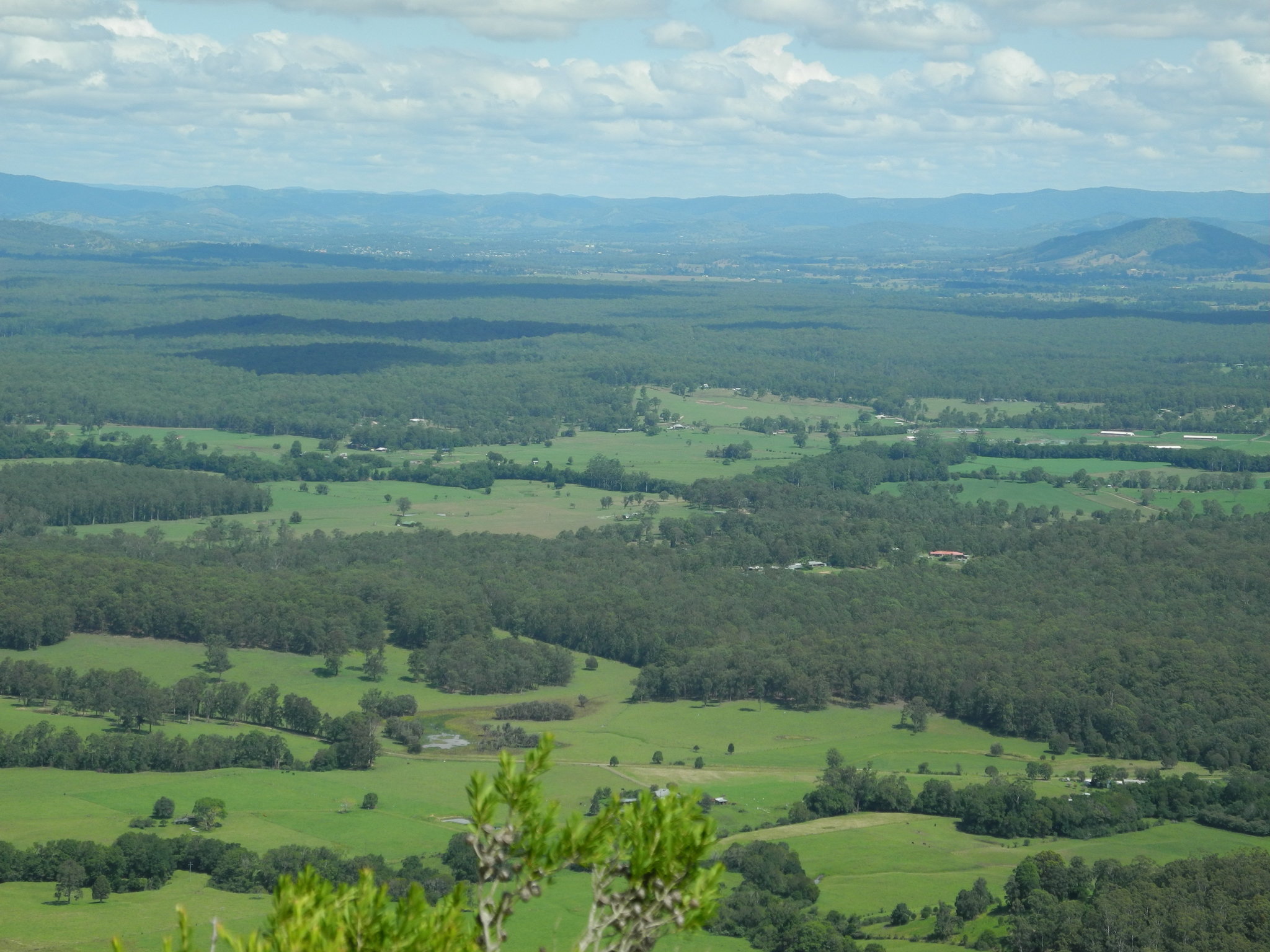 DSCN0311.JPG