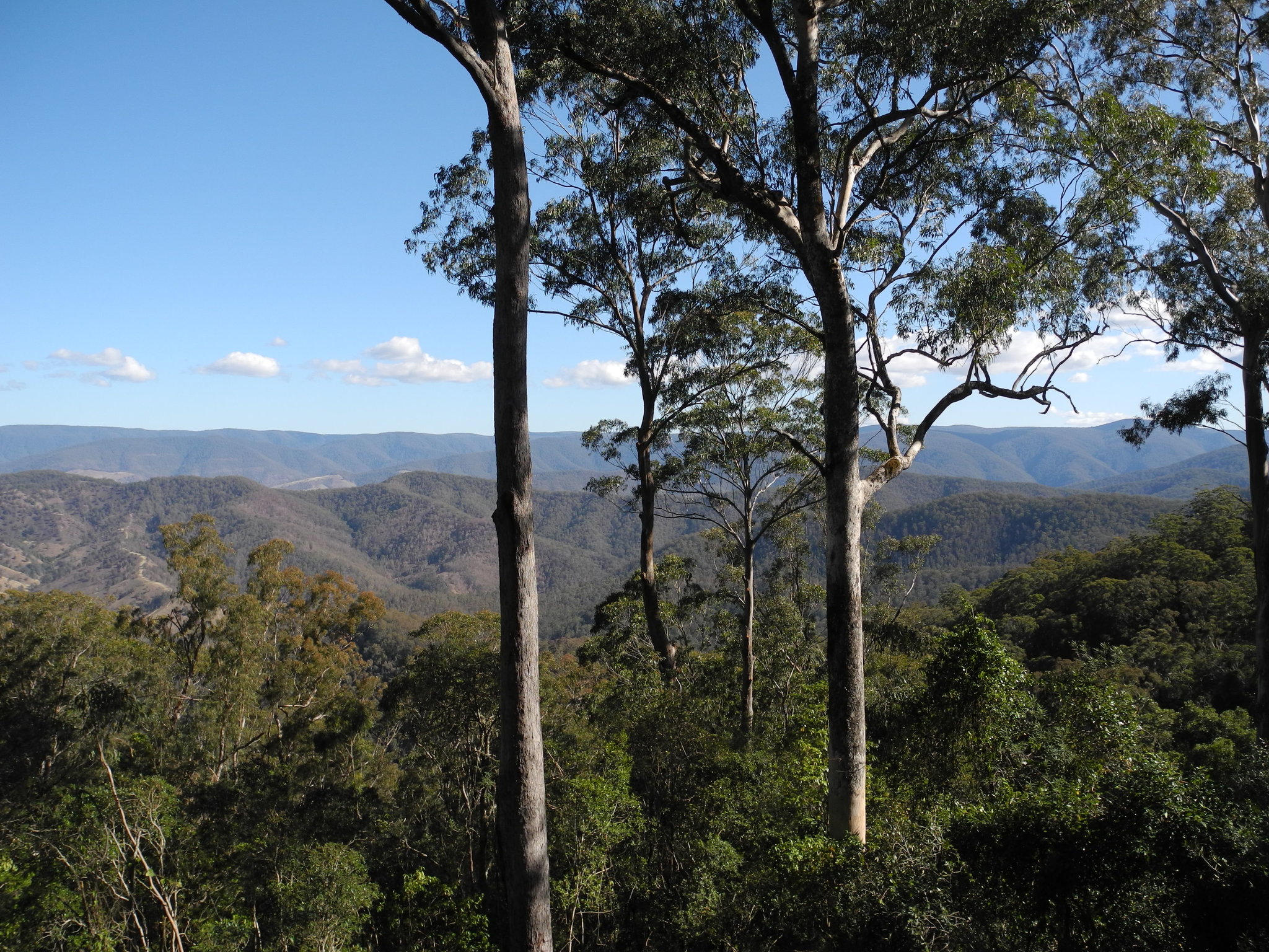 DSCN0850.JPG