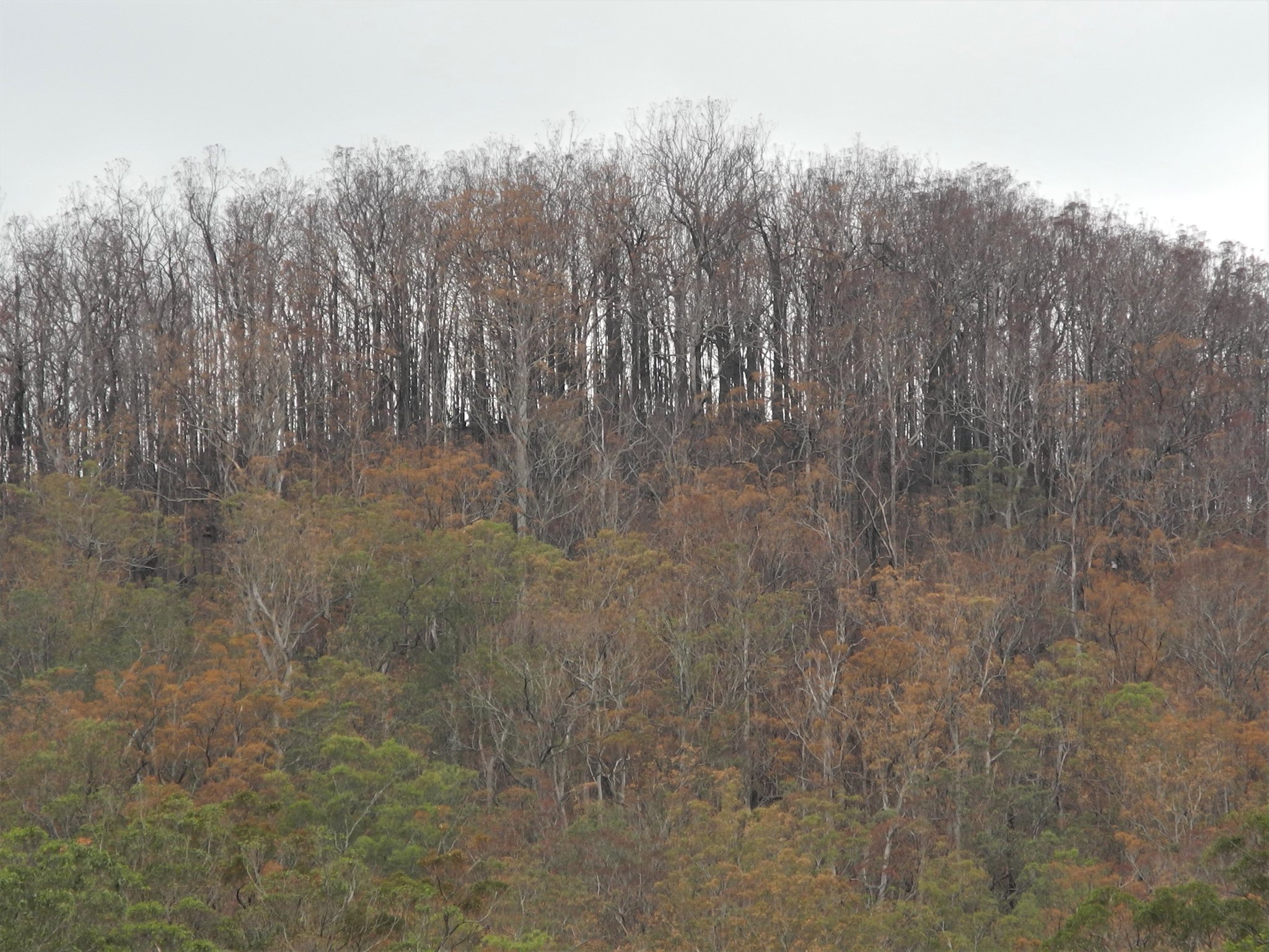 DSCN1178.JPG