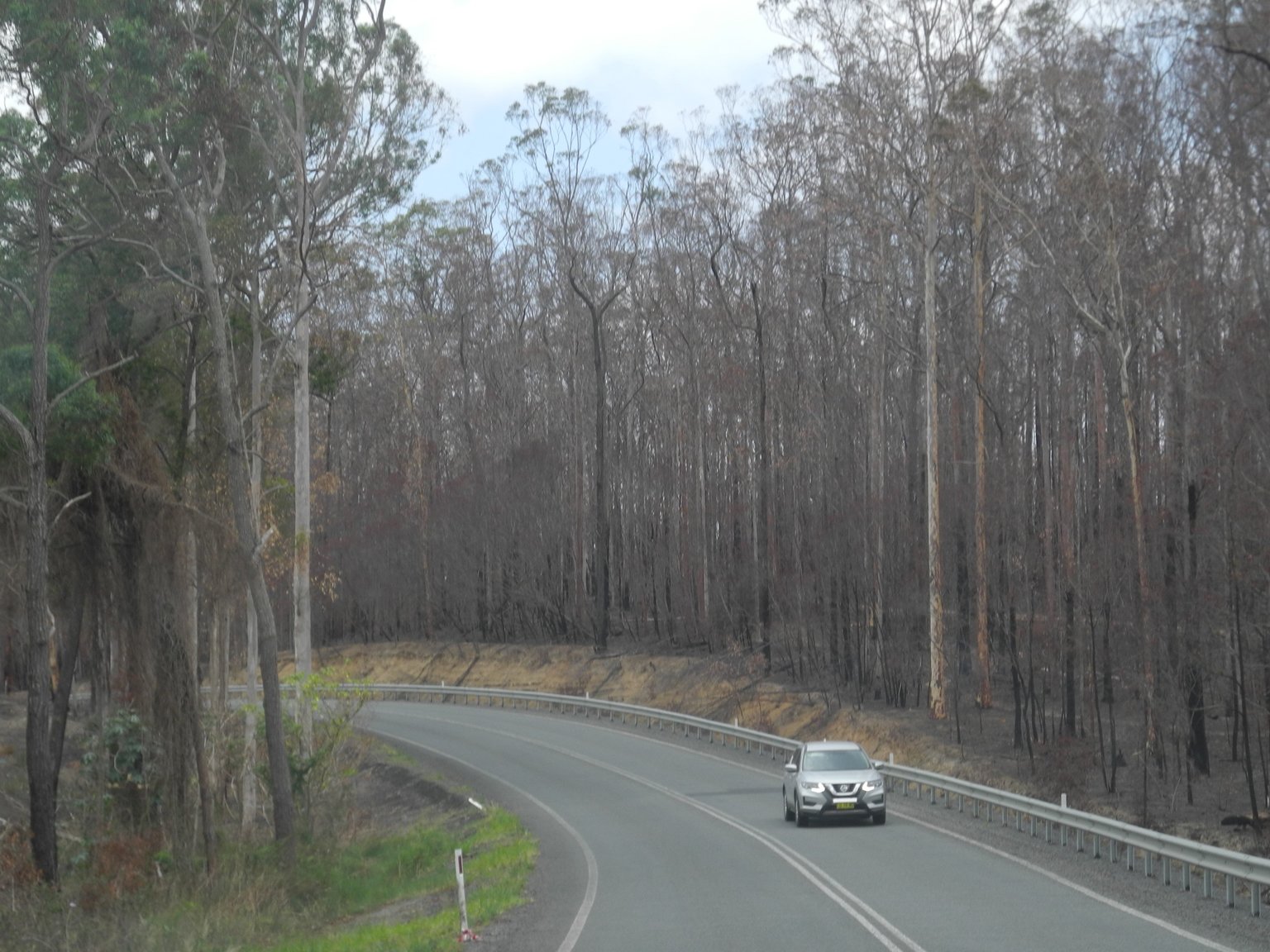 DSCN1261.JPG