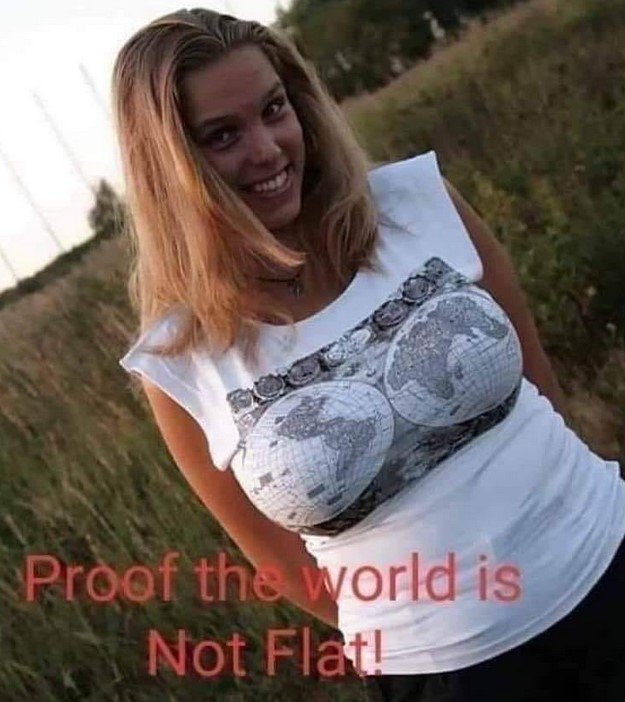 FaltEarthDenier.jpg.1958d635d5b66d953f75435dd218747e.jpg
