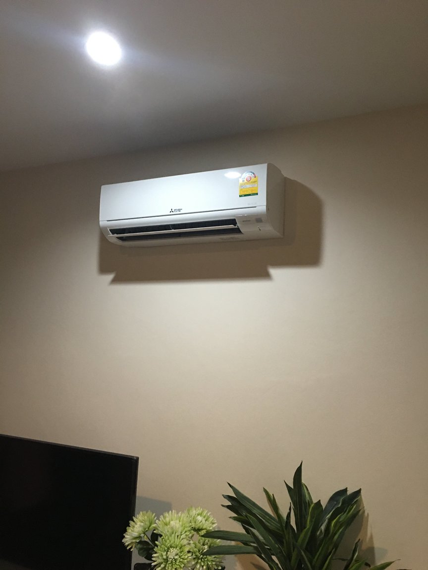 IMG-4900.JPG