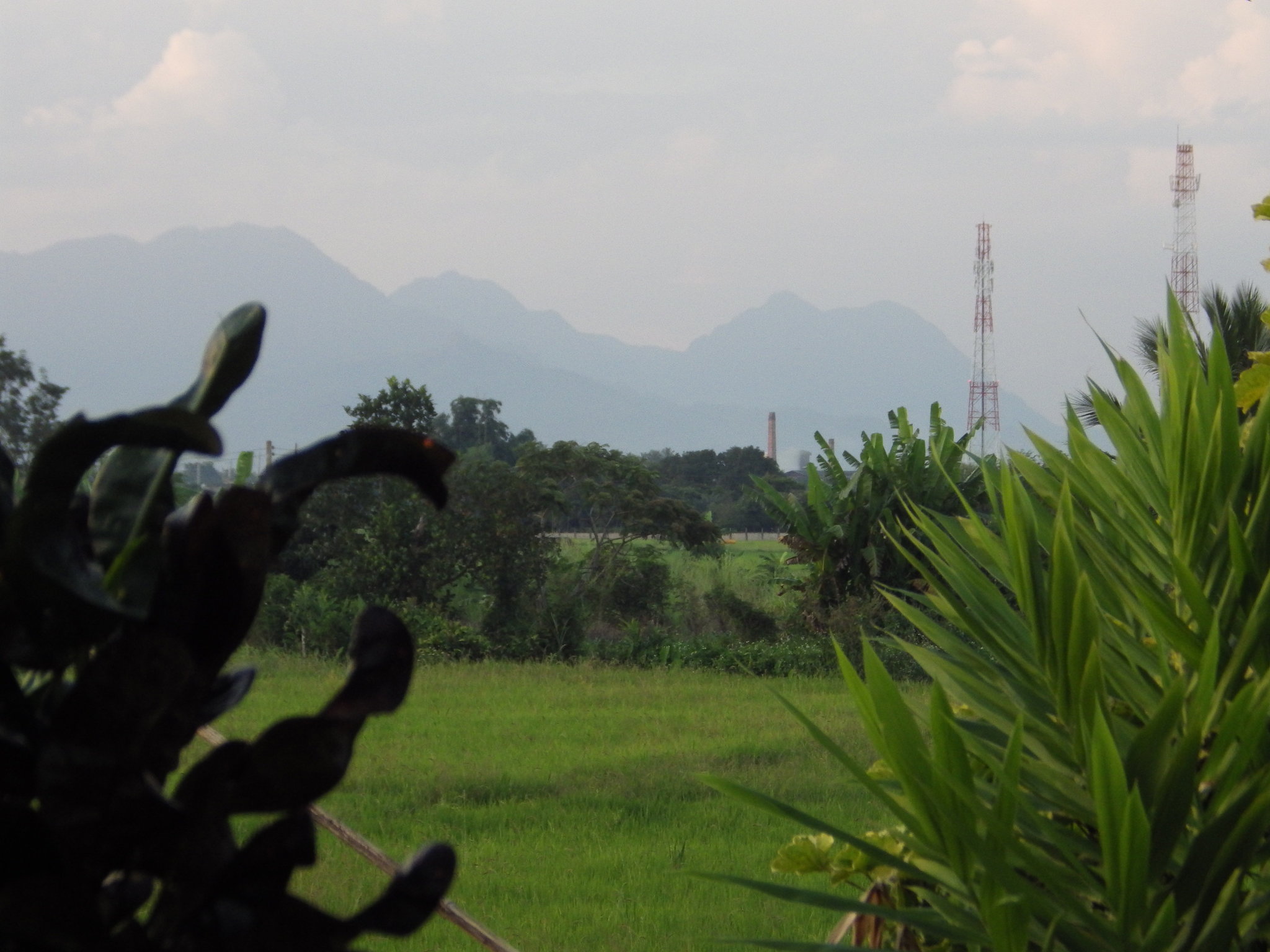 IMGP1259.JPG