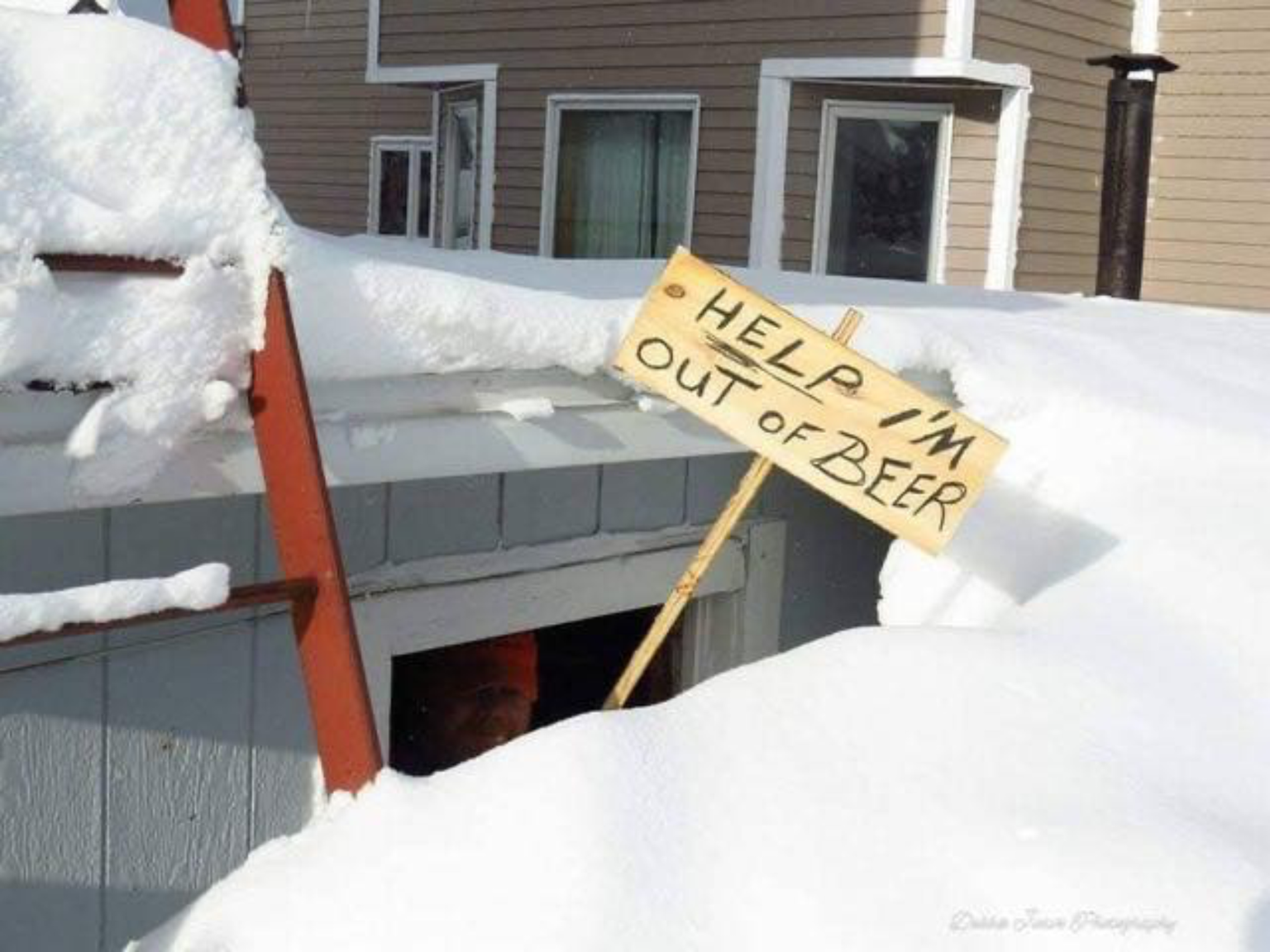 IMG_3014.thumb.PNG.5fa0931d84a1c01d98de308092aff6f0.PNG