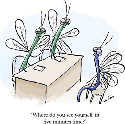 InsectCareers.JPG.017561167c8e548da21bcf72dd570b0c.JPG