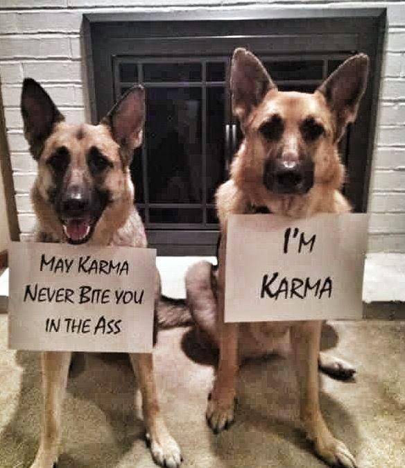 Karma.jpg.d87ae6a0304cefea38e9363a0979f687.jpg
