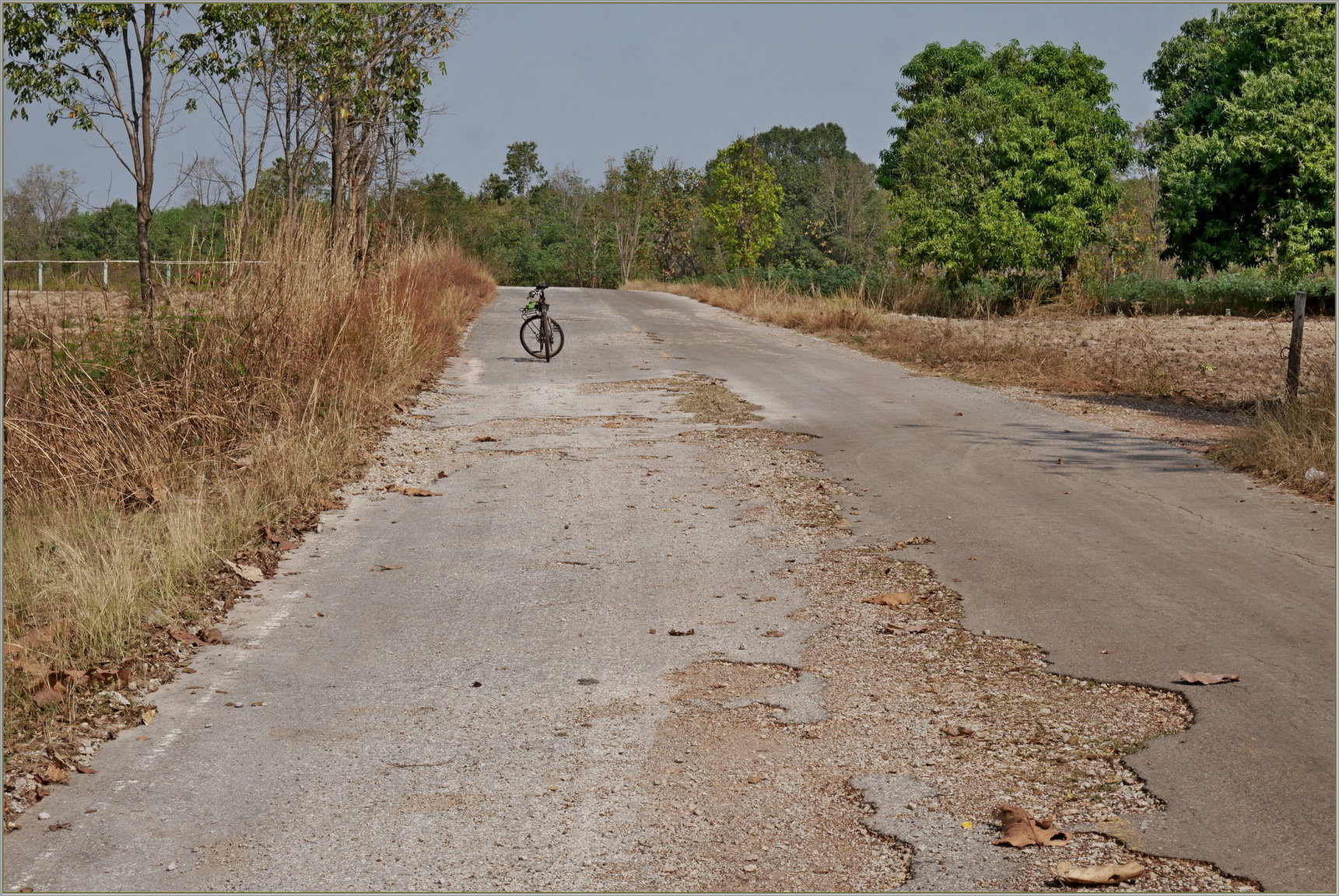 P1080989_road_no_number.thumb.JPG.db6d4b2bdd270a6593d478b865a18ebd.JPG