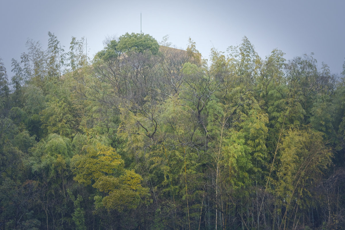 _DSF0254-1.jpg