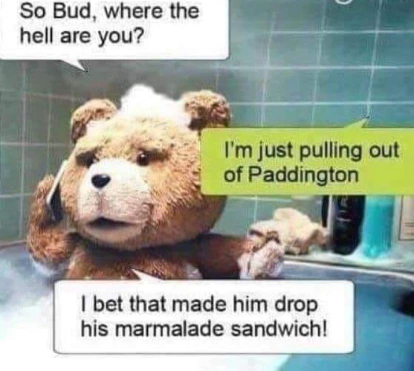 bear.jpg.34674f67c64178d062221fe776dbba19.jpg