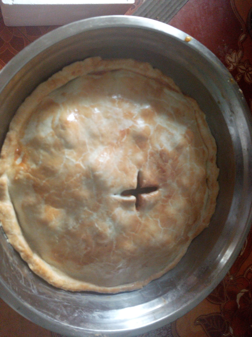 chcikenpie.thumb.jpg.b437f833e2d85e6f957526e2aa7791eb.jpg