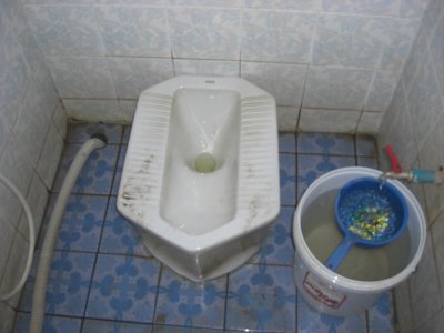 toilet1.jpg.bb5ff84a91777d63012347990e3279da.jpg