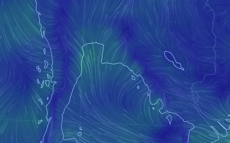 wind.JPG.94a6e3eb1e119d53d54f5266ffe2696e.JPG