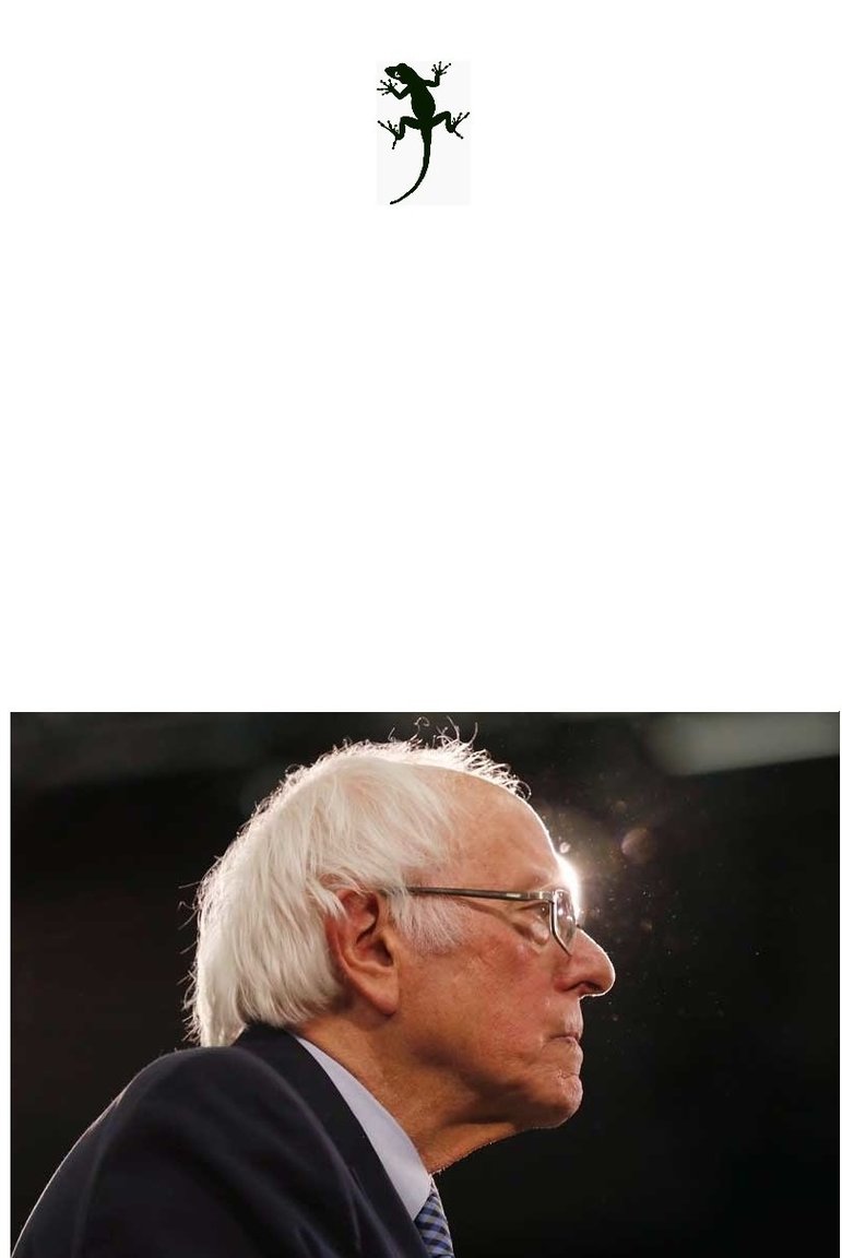 1077063333_berniethetarget.thumb.jpg.124ab0225dd6765853df76d2da2cdc95.jpg