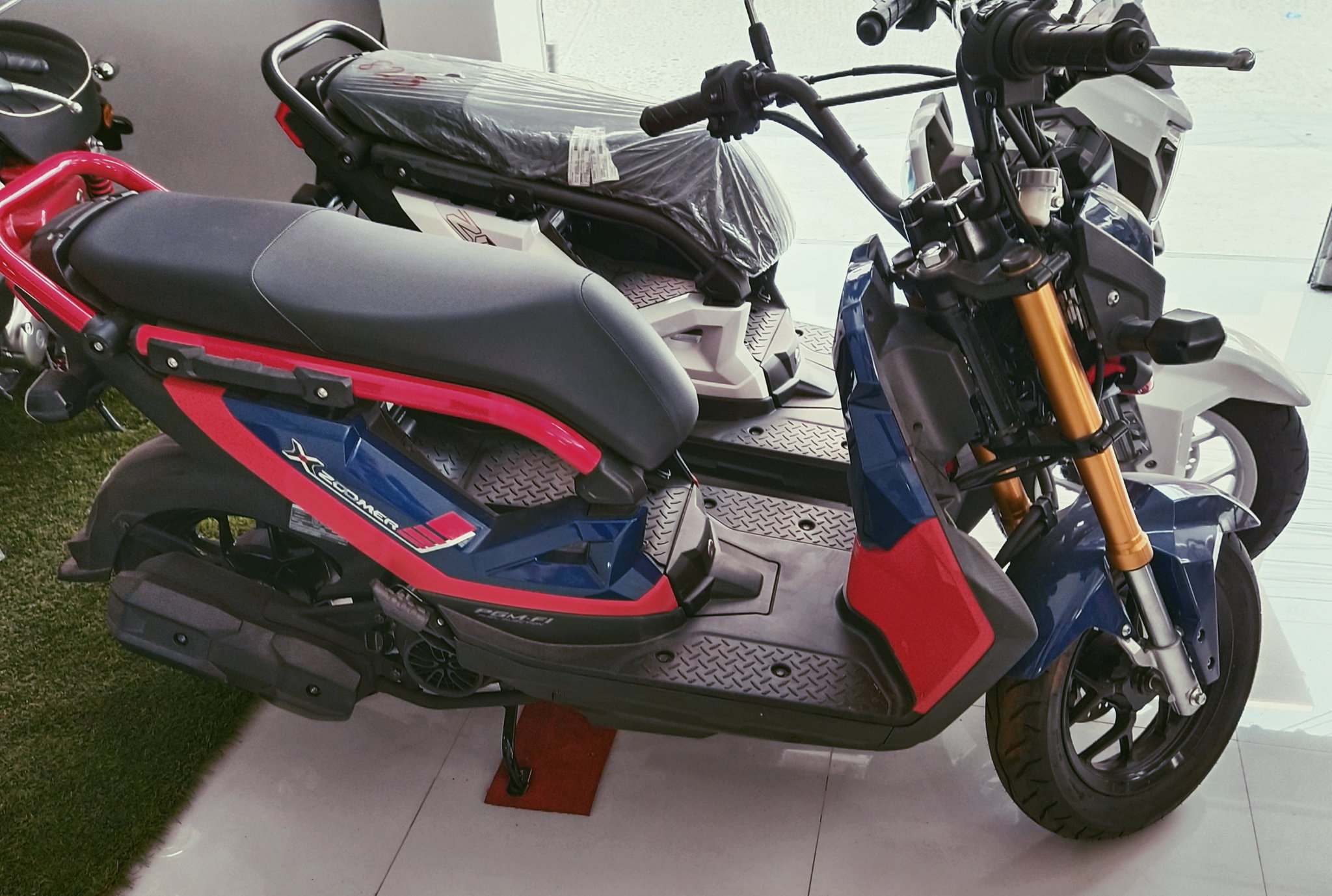 2020-02-29 04.20.38 1.jpg