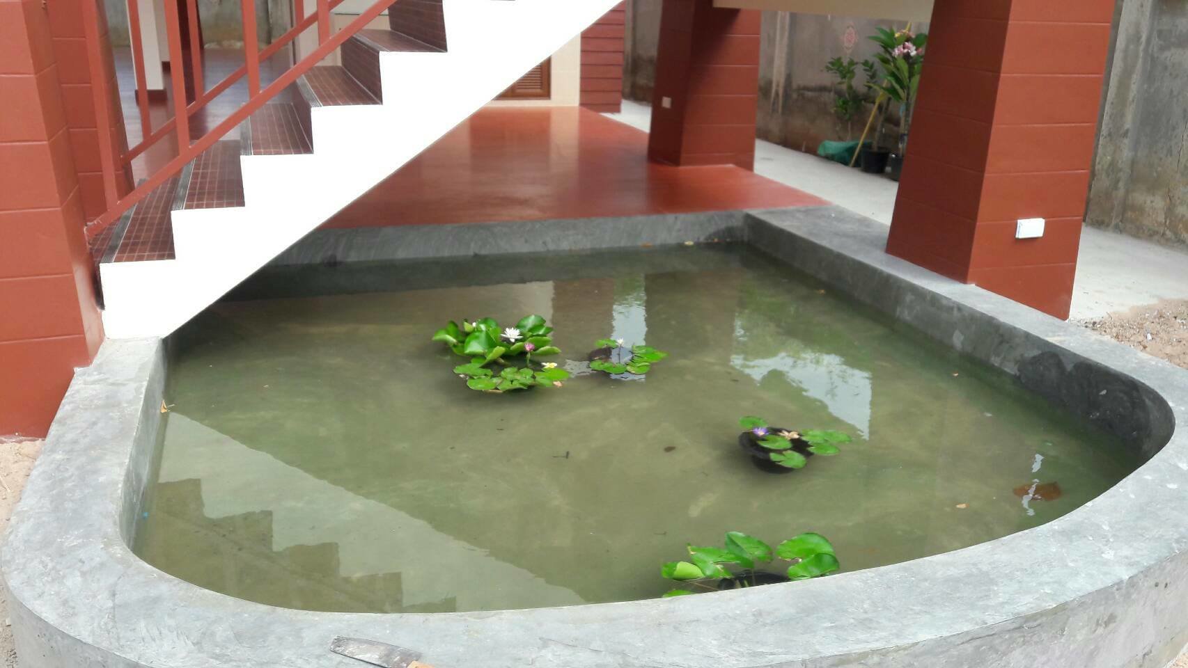 1642326012_koipond.jpg.b93e8b28648a975a0acf6fbdb65f5041.jpg