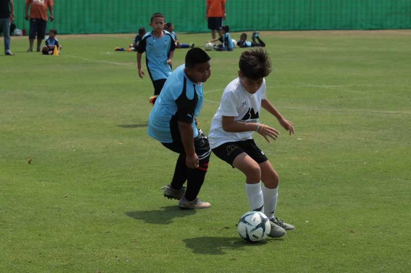 2V1A2281.JPG