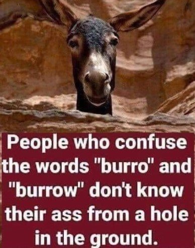 Burro.jpg.05d7baa857b022d19f50d5309b378ef0.jpg