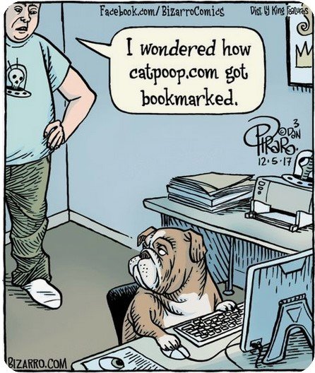 CatPoopDotCom.jpg.c0e1e471afa096c4c2782002312318a2.jpg