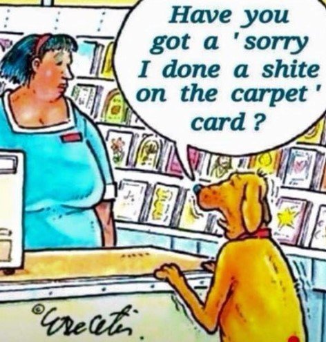 DogCards.jpg.c9005308fe3f006f04353be88e025950.jpg