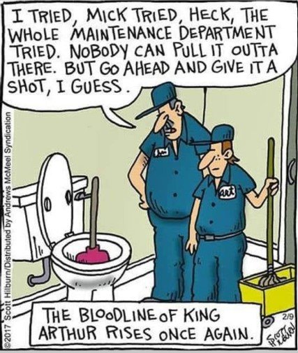 KingArthurPlunger.jpg.bd1f0b57fd1ee2280b467df0354670f6.jpg
