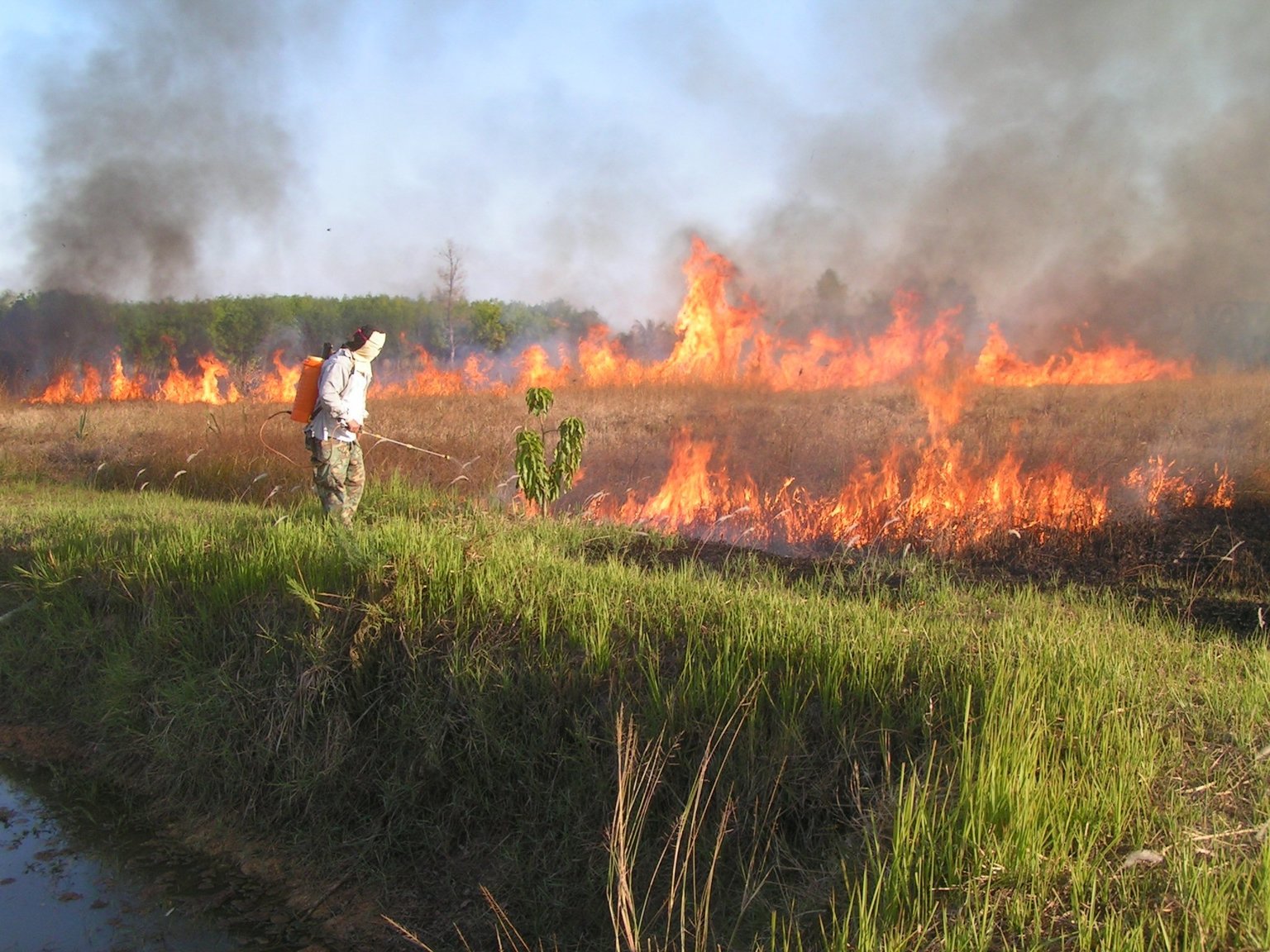 1163075026_fire01.thumb.jpg.f5b3fc6be068b21a2113bd362685a8b5.jpg
