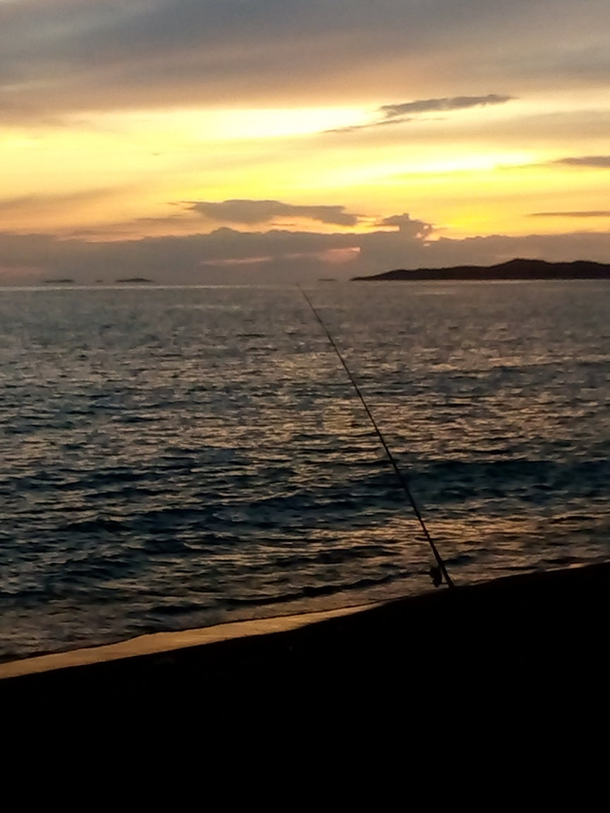1324787954_FISHPOLE.thumb.jpg.06ada8a5fb81fe79c0bfb5850820a1f2.jpg