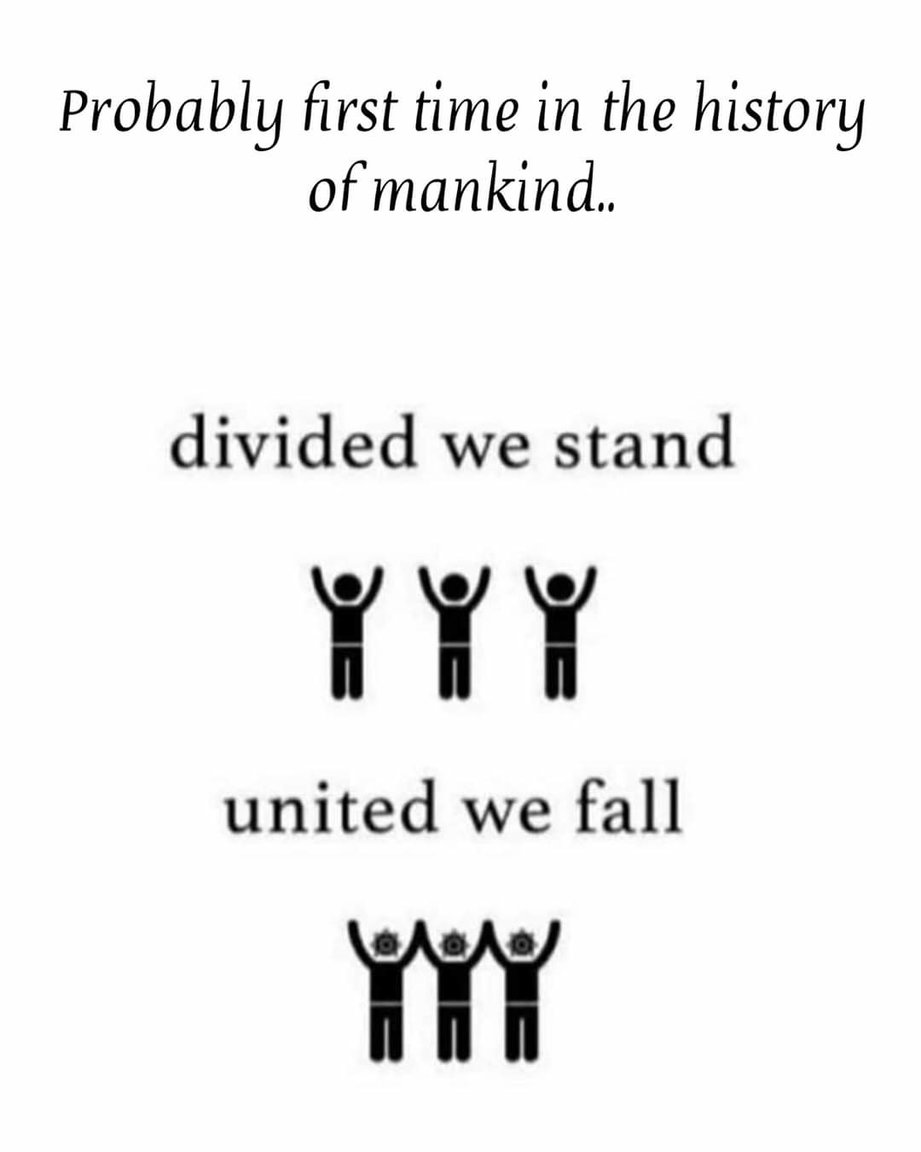 138e5bc5-a82d-484a-9221-2d4cb9d44824.jpg