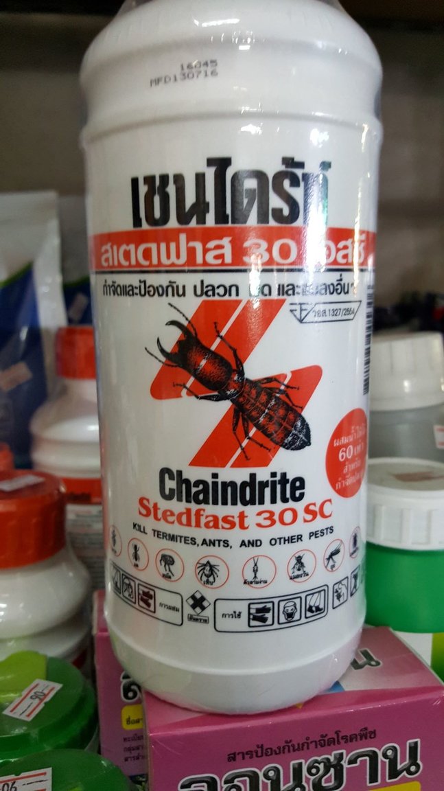 Chaindrite Stedfast 30 SC.jpg