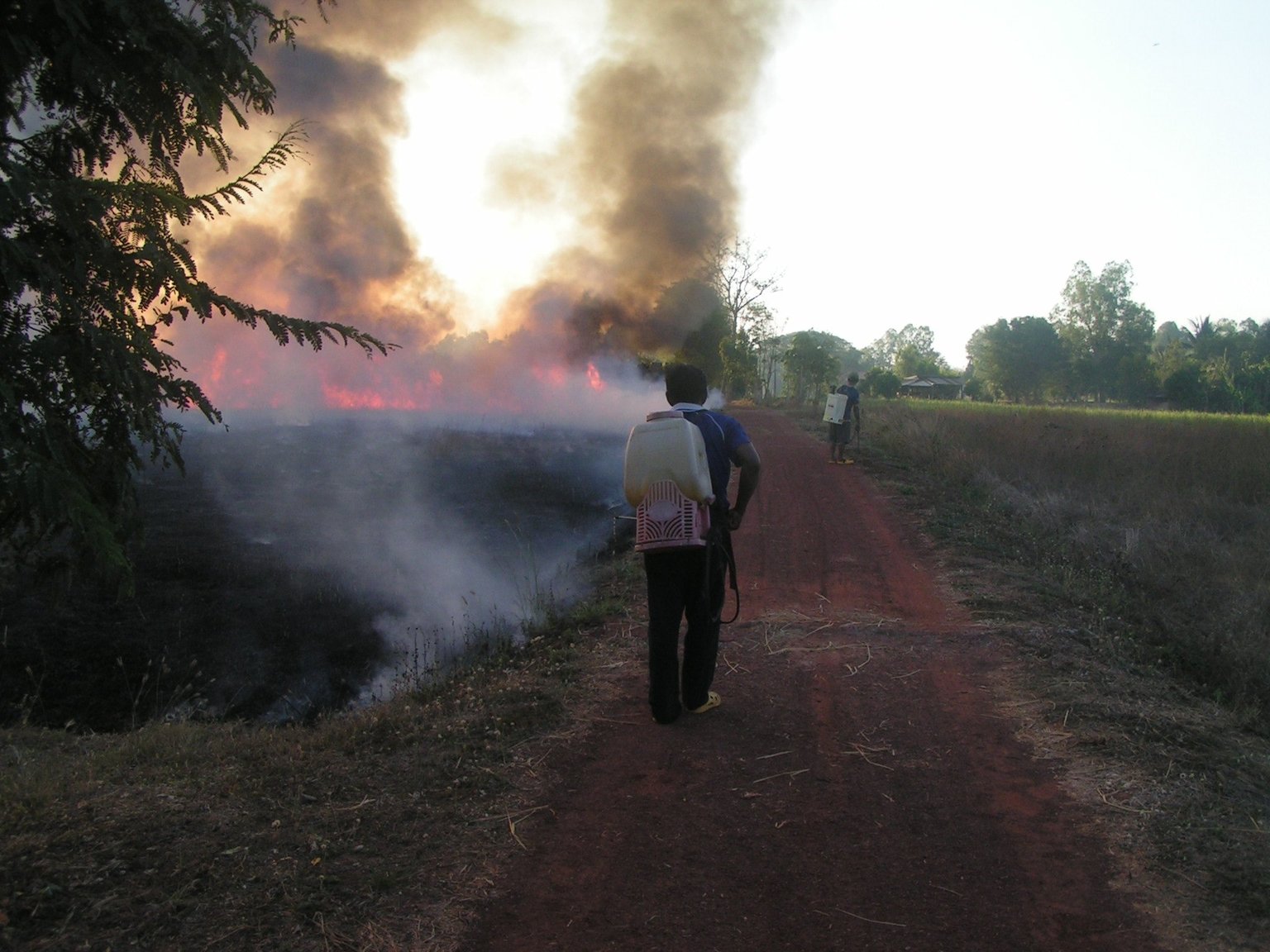 1913856415_fire03.thumb.jpg.85225a1d3bc9ffb4c7b5f1e45631ee6d.jpg