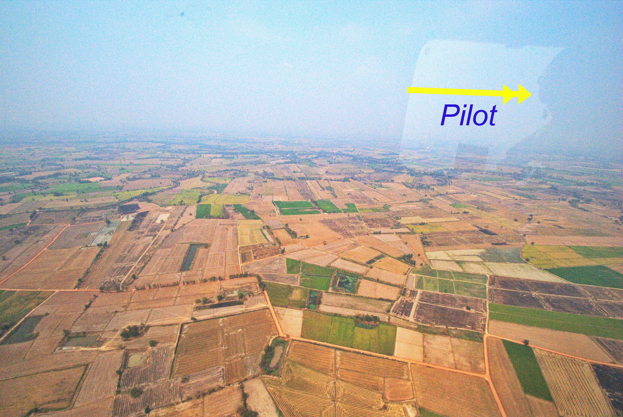 rice field 1.jpg