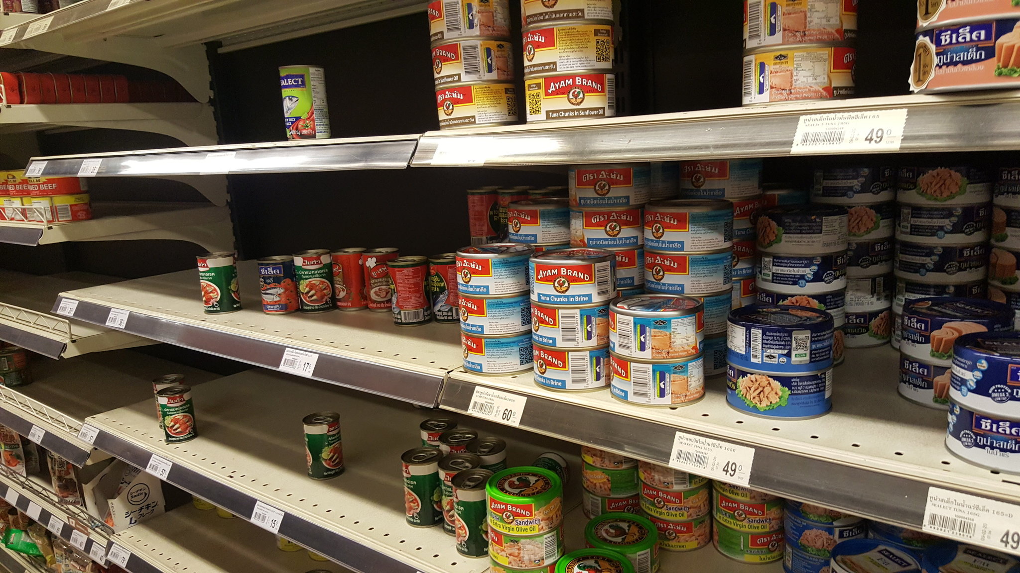 929577516_Rimpingcoronavirusrunsardines.thumb.jpg.1dceea6e64c18b30975e9e60c4ccc7ac.jpg