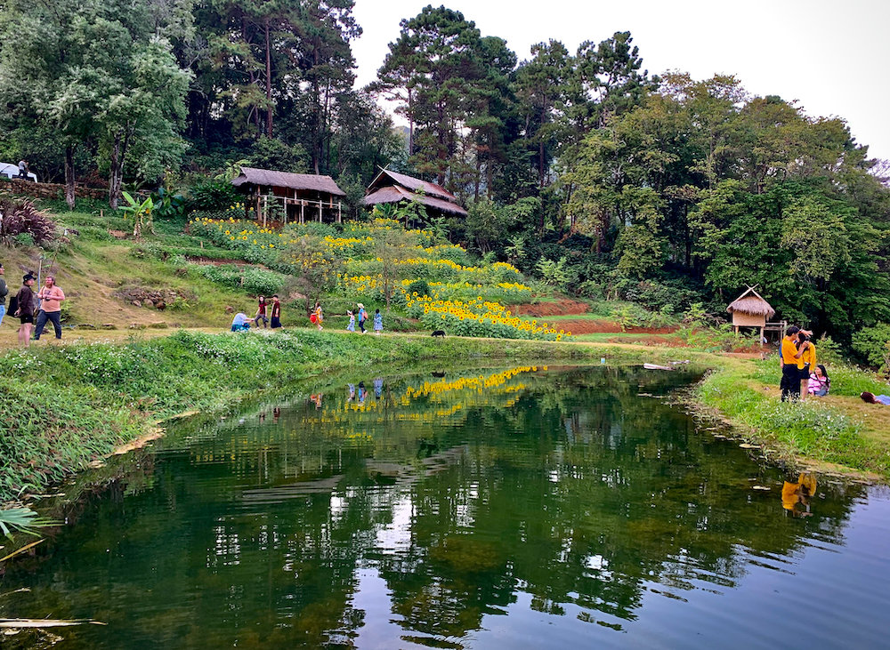 968169656_Chiangrai2020-3.jpeg.9782fecedbf7d2ccbab8cb5aa7aa4667.jpeg