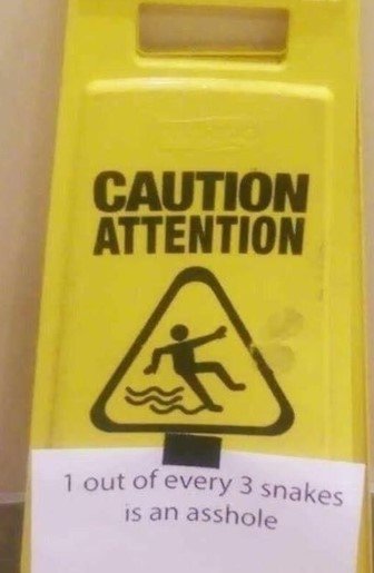 Caution3rdSnake.jpg.f324013a05122ad755baff452734ce93.jpg