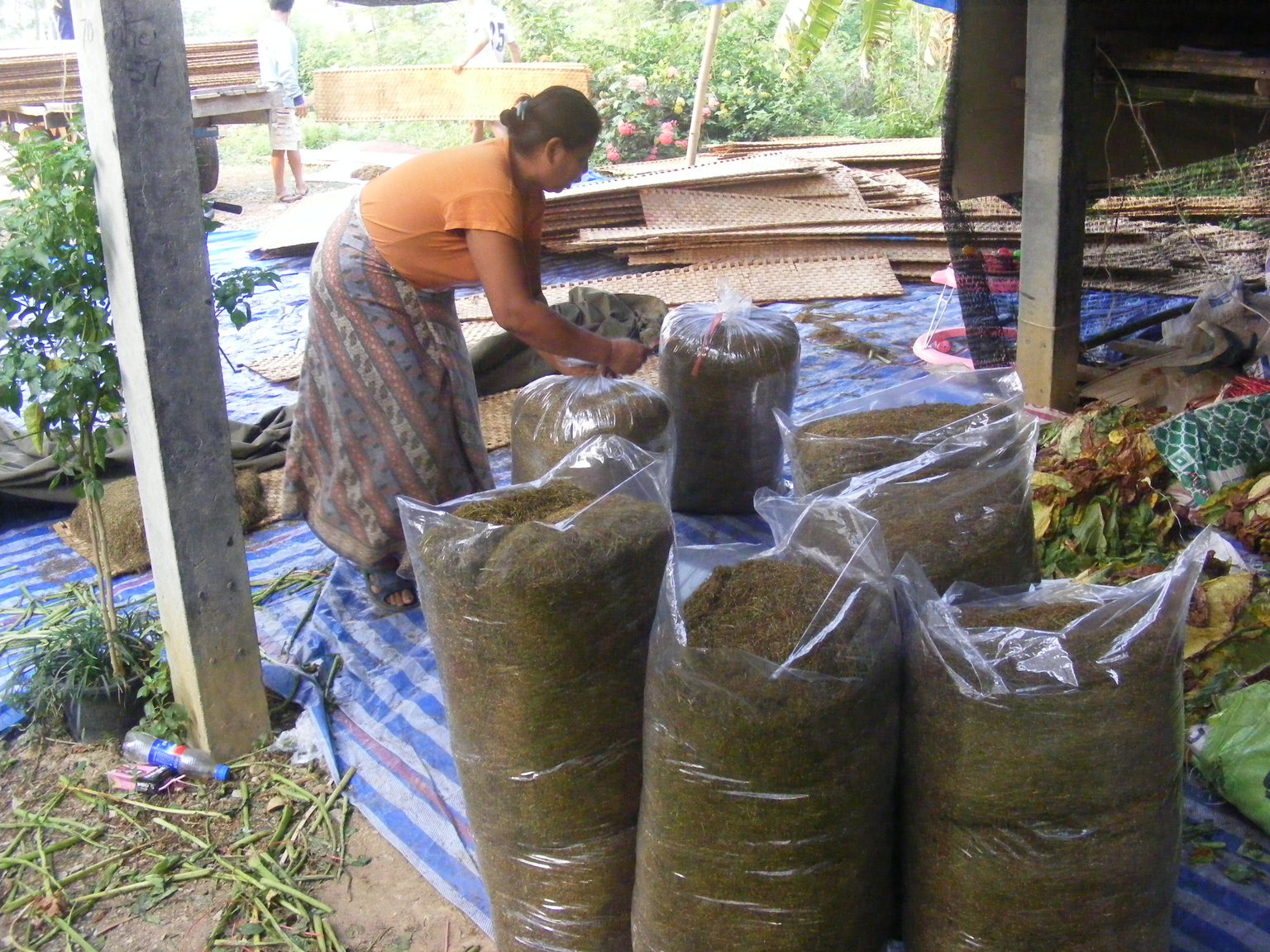 DSCF1059.JPG