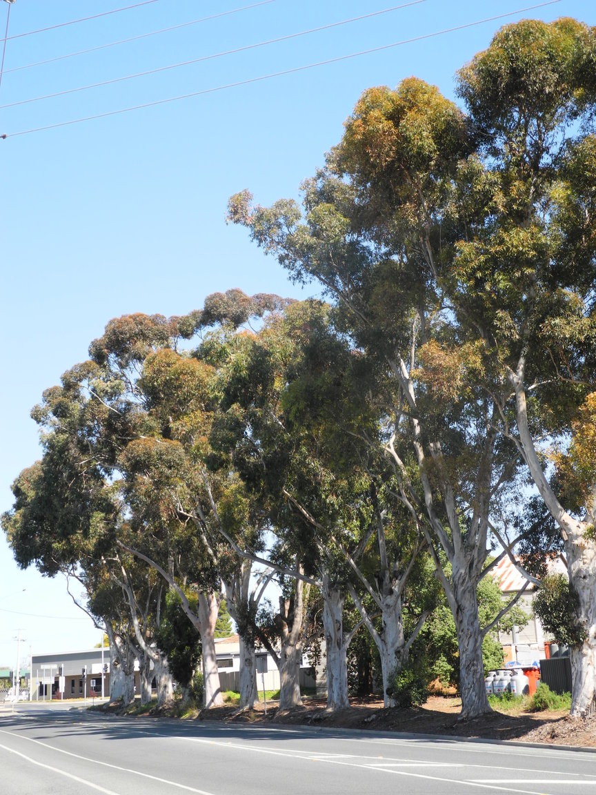 DSCN2609.JPG