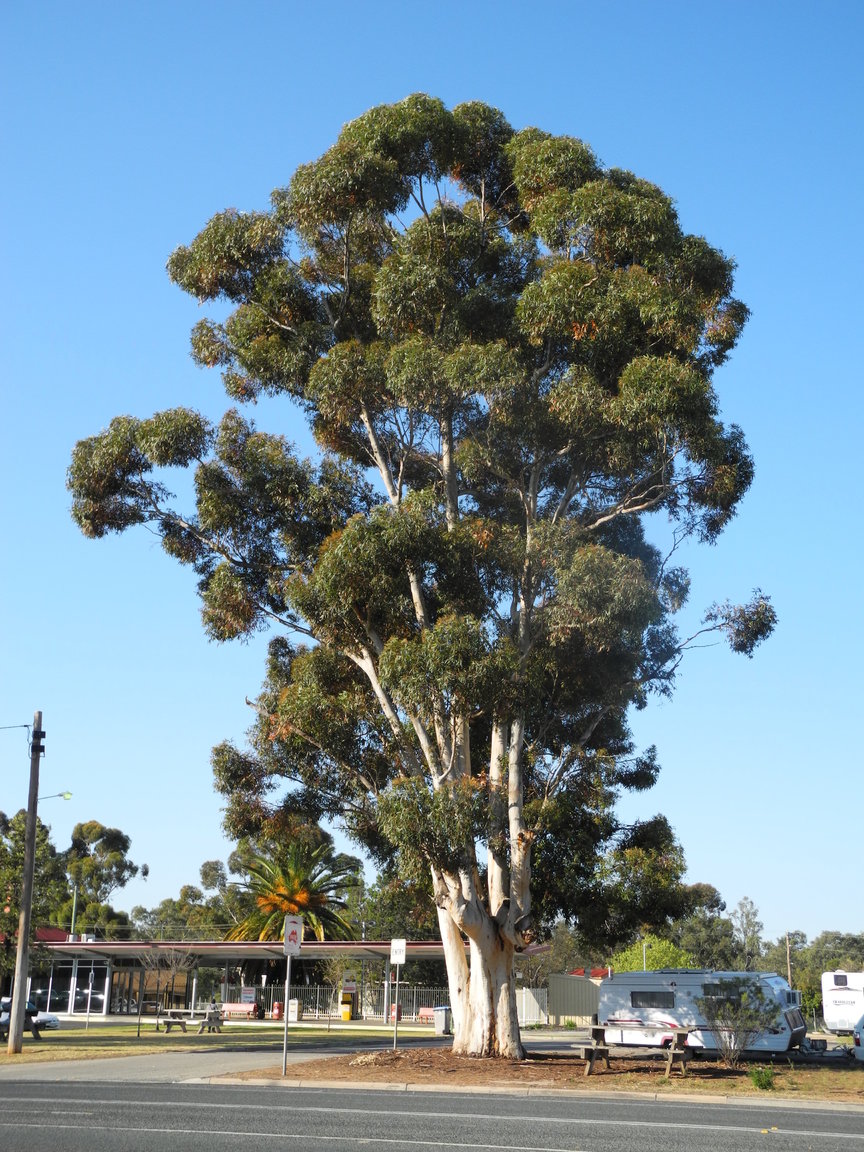 DSCN2626.JPG
