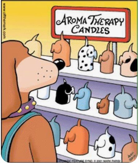 DogsAromaTherapyCandels.jpg.ea01e5bc093be008c0b4e1f81cad26ea.jpg