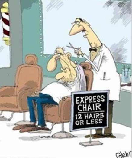 Express12Hairs.jpg.2e7055e85f4b27967b2b44f8417102aa.jpg