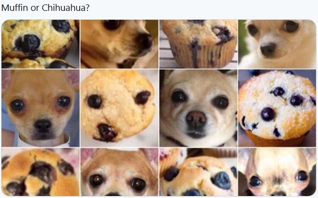 MuffinOrChihuahua.jpg.57f71a556e7444f27ee978e46b7edb75.jpg