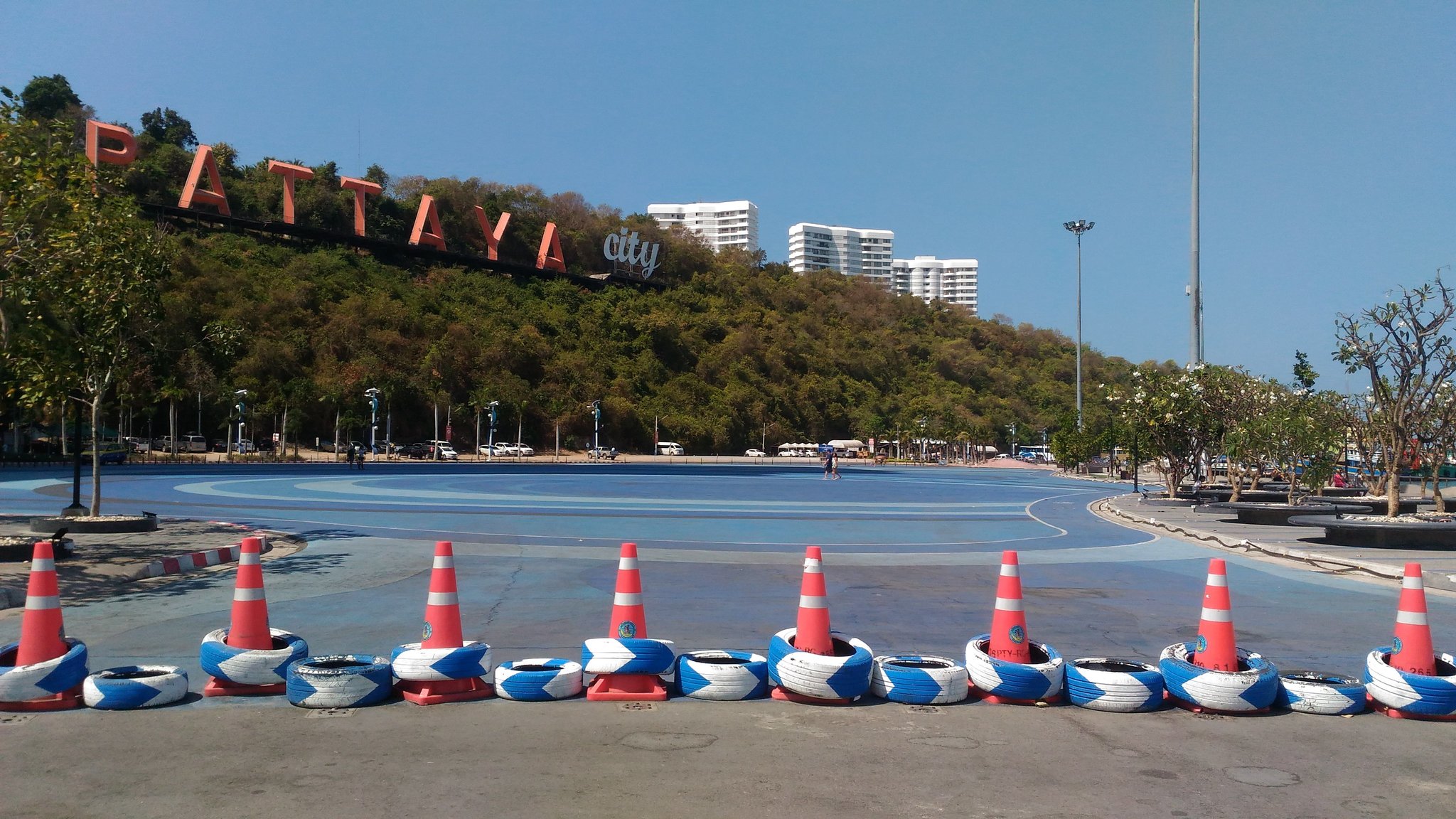 P_20200129_120830.thumb.jpg.810abd75d4b73431aa4d2aaa93cc5404.jpg