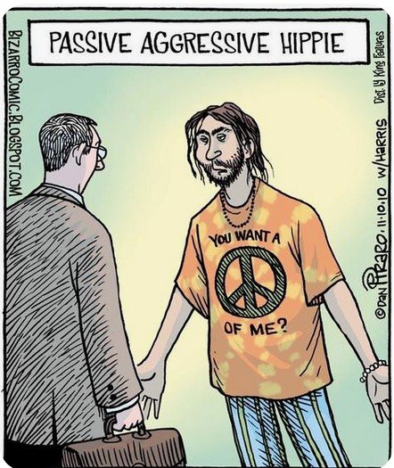 PassiveAggressiveHippie.jpg.06b543a555434826bd69d87a35ce0cce.jpg