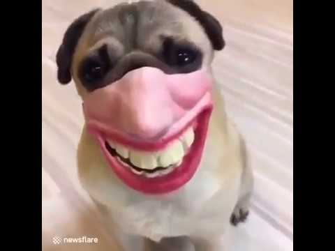 image.png.997009794580c6231b1c5a2f1ee8d5e0.png