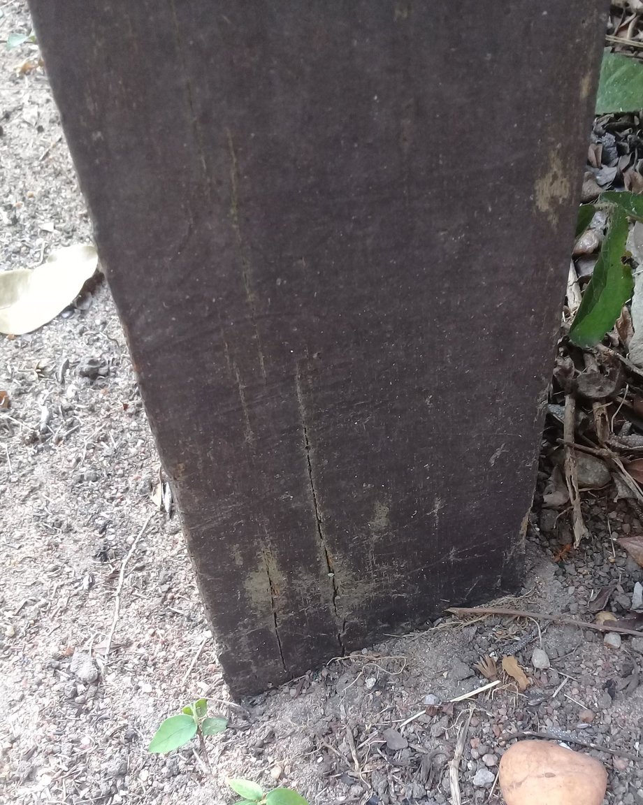 image.thumb.jpeg.980cea8cc60fa9dc73c750d074211404.jpeg