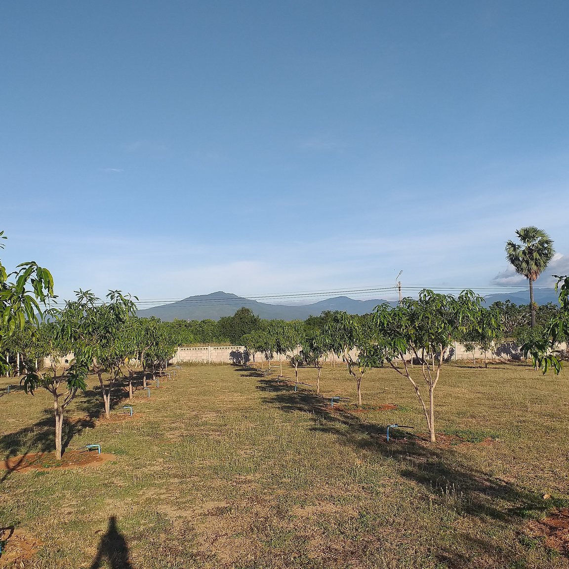 20190717_070518 (1).jpg