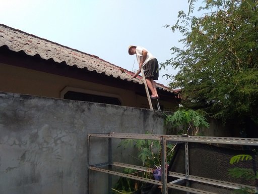 1651209233_roof69.jpg.1cf001f37b7412fa83fc6f1c32dd2801.jpg